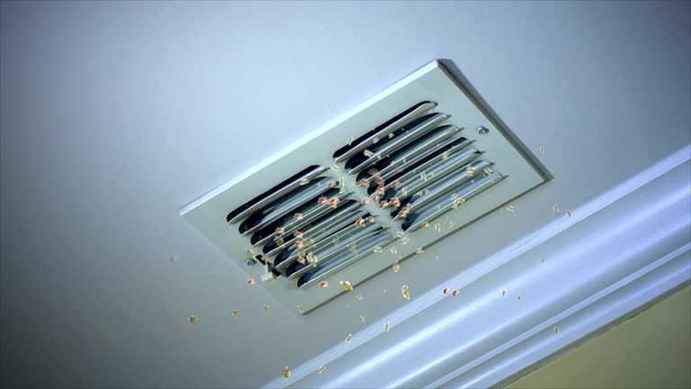 Best Residential Air Duct Cleaning  in Williamson, AZ