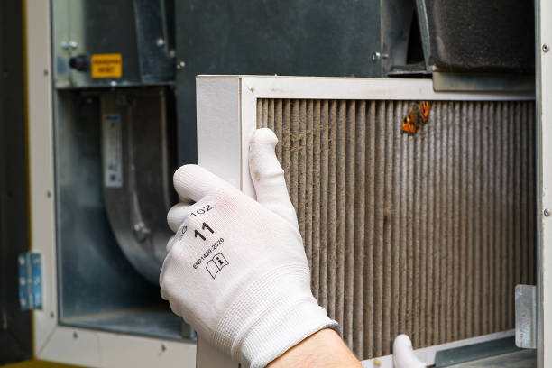 Best Ventilation Cleaning Services  in Williamson, AZ