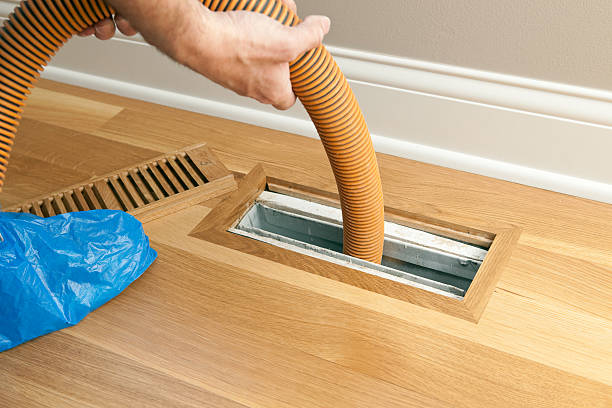 Best Dryer Vent Cleaning Services  in Williamson, AZ