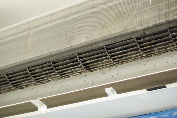 Best Home Air Vent Cleaning  in Williamson, AZ