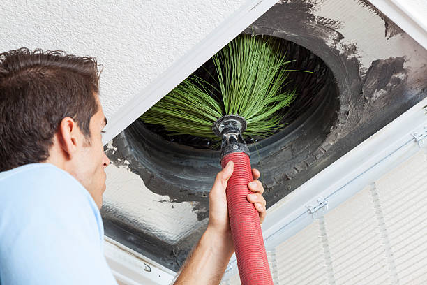 Best HVAC System Cleaning  in Williamson, AZ