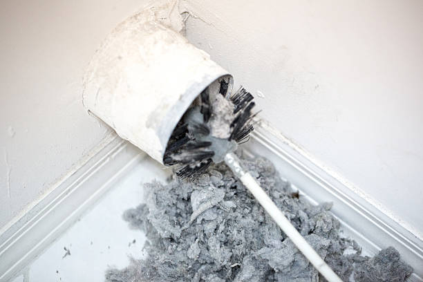 Best HVAC Air Duct Cleaning  in Williamson, AZ